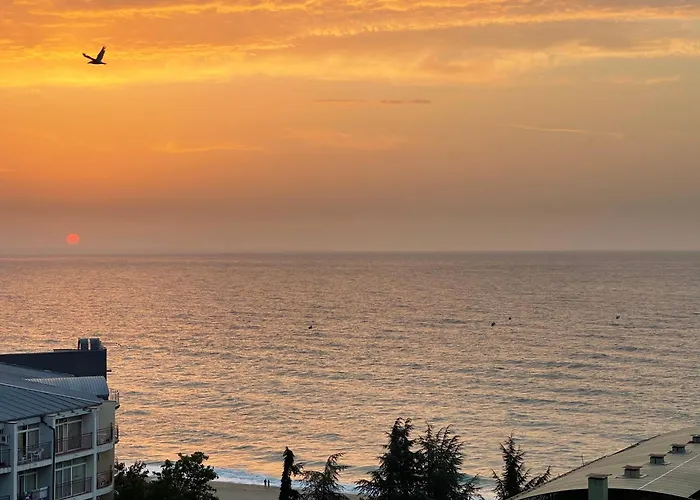 Spacious Seaview Apartments, 100m To The