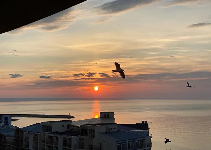 Spacious Seaview Apartments, 100m To The Apartament Nisipurile de Aur